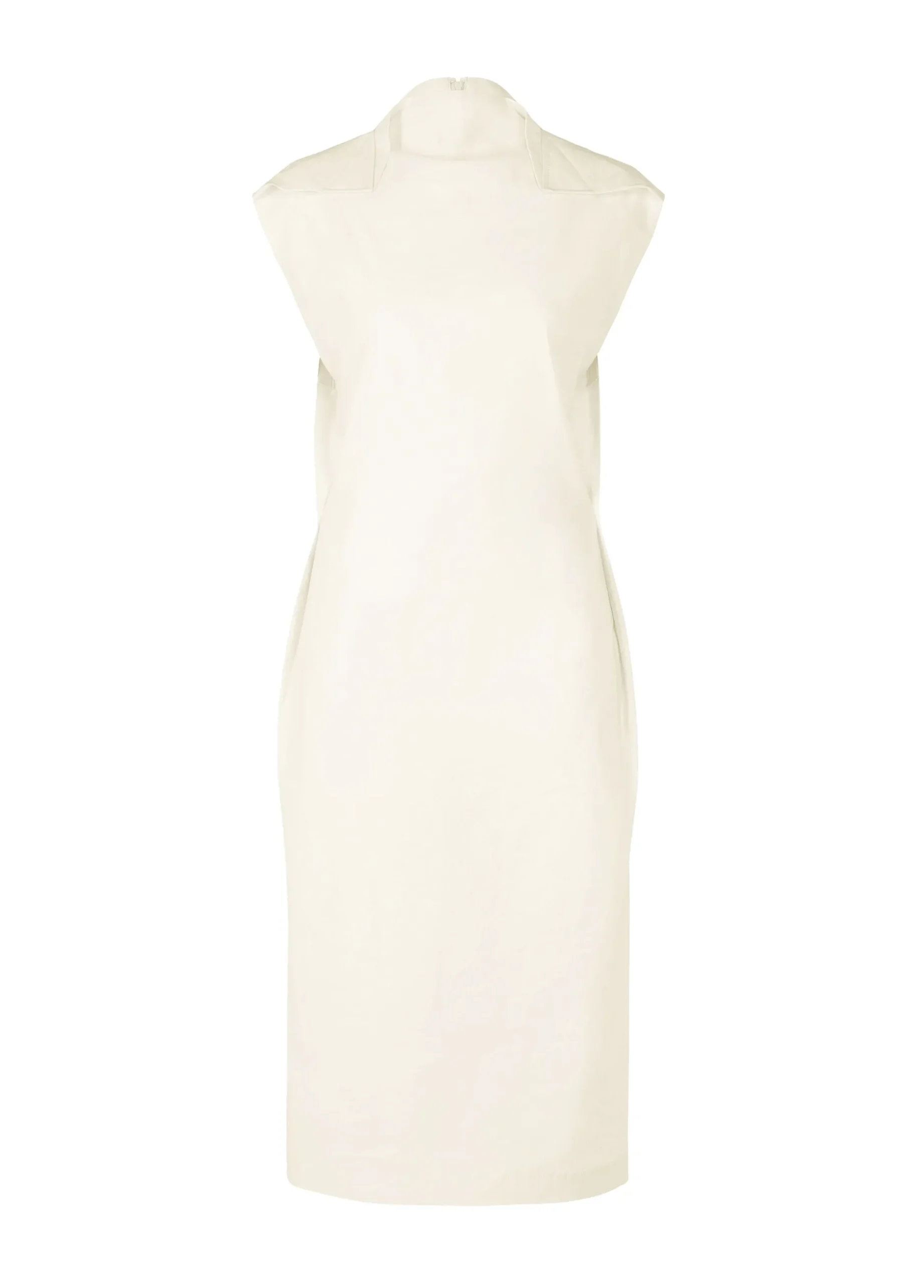 ample_0-1.webp AMPLE