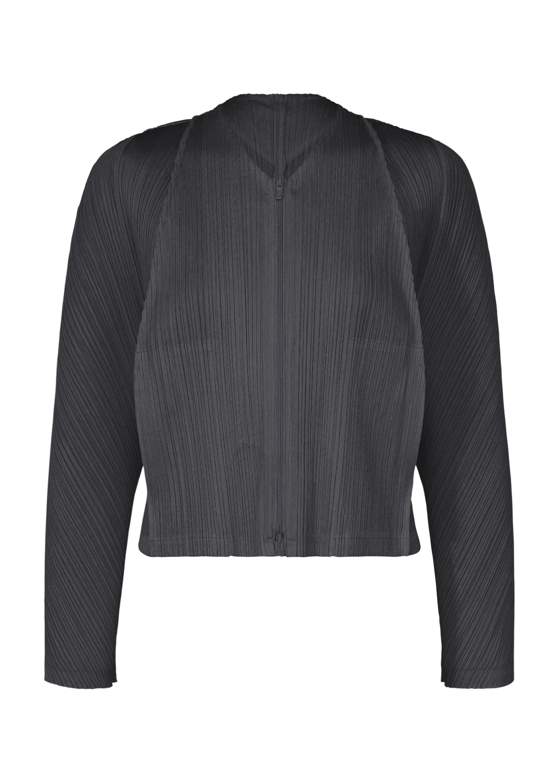 lantern_0.webp LANTERN