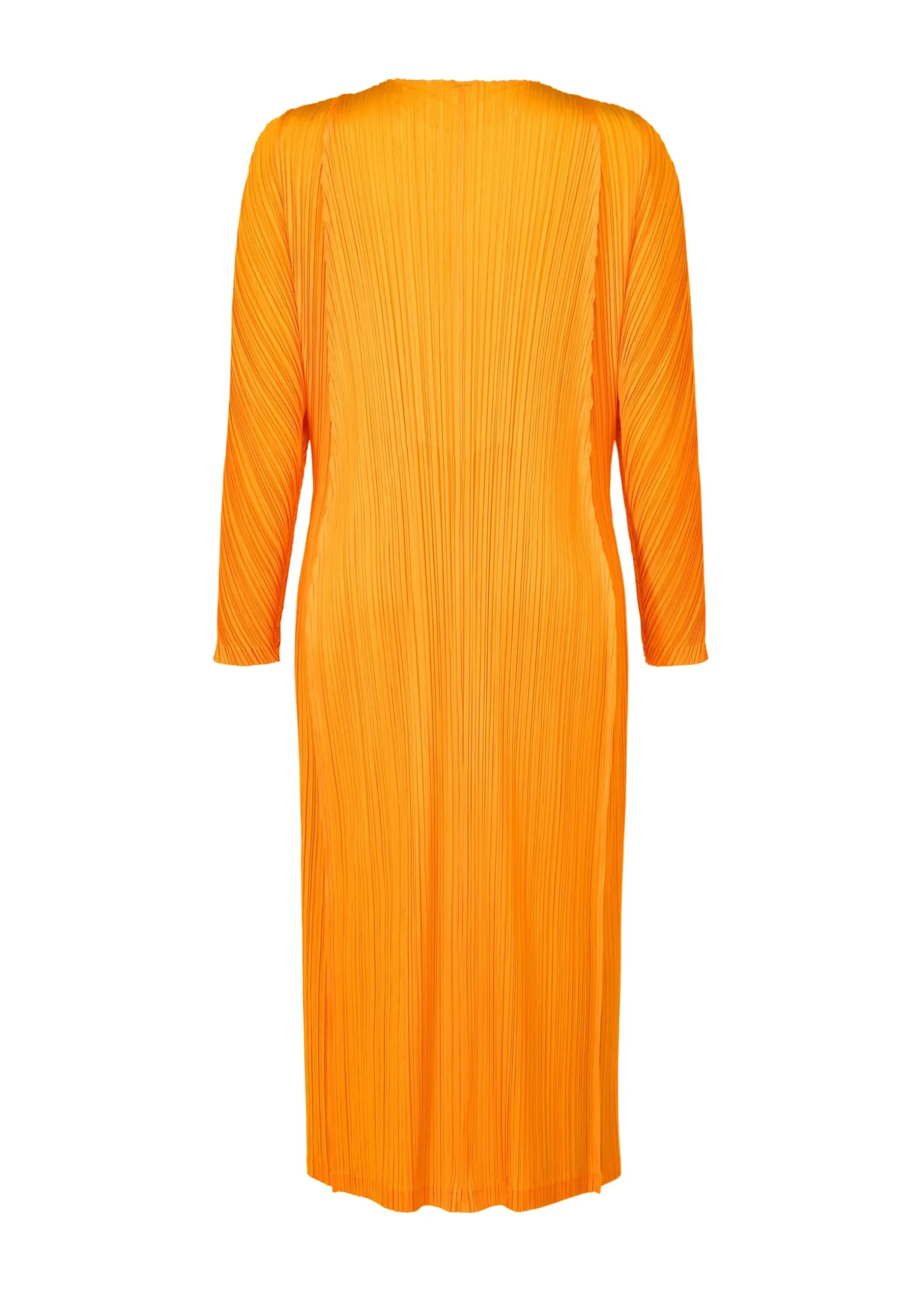 lantern_3-1.webp LANTERN