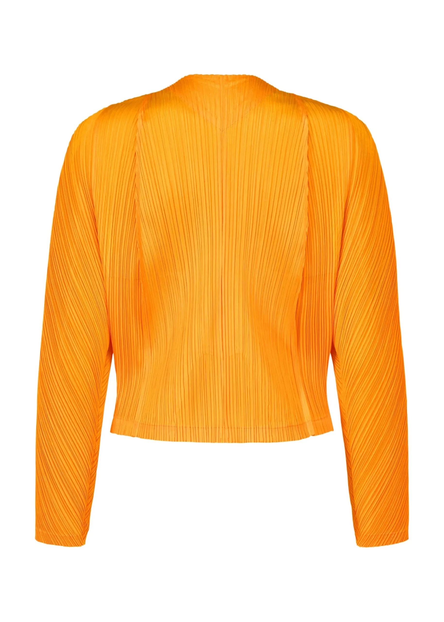 lantern_3.webp LANTERN