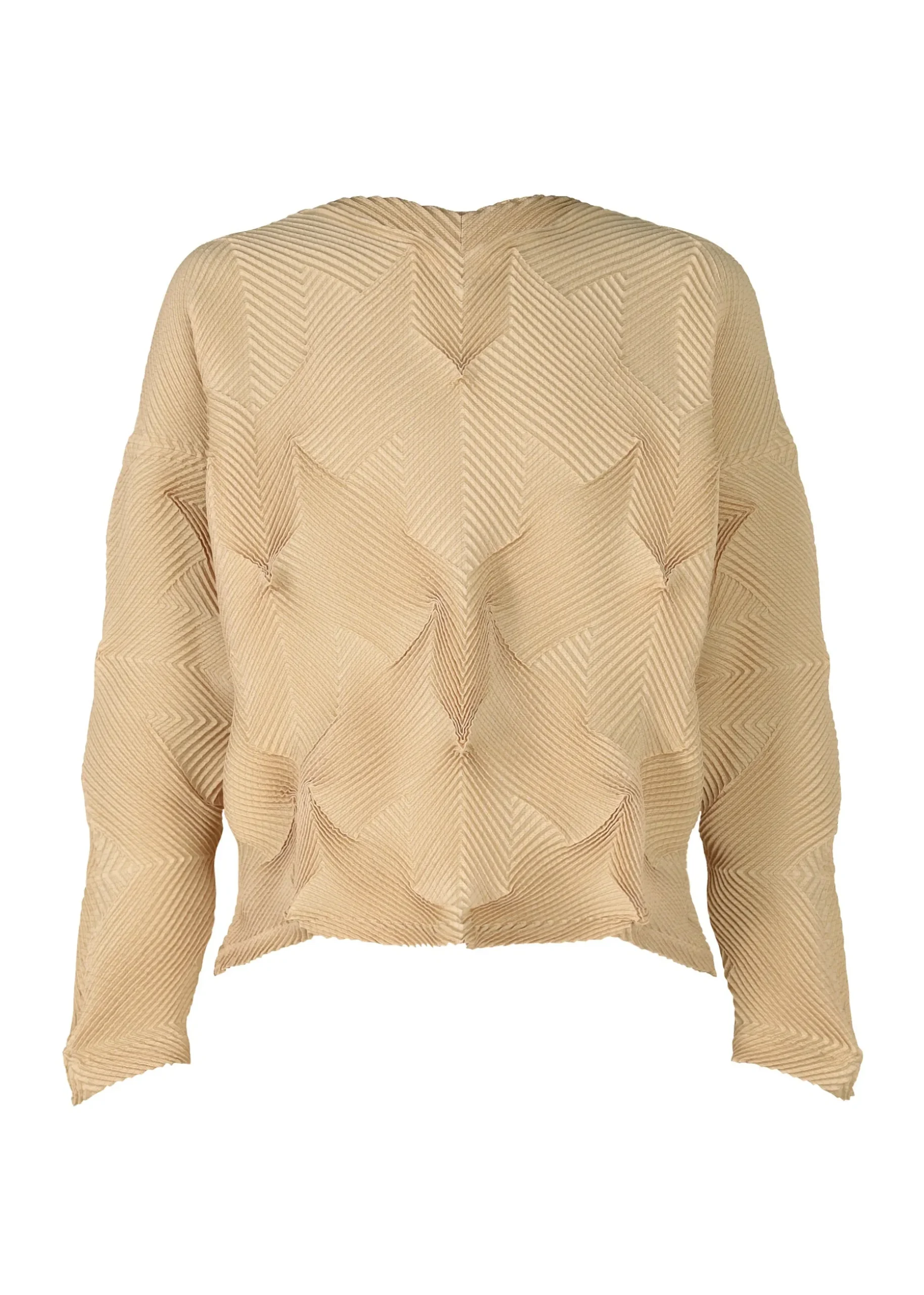 typeo__2-7.webp TYPE-O 010